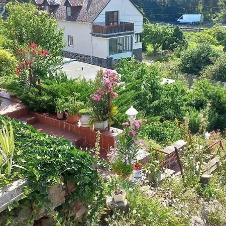 Anna * バダチョニトマイ