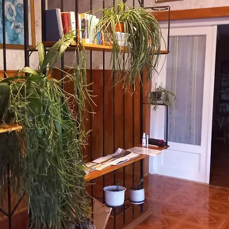 Anna Apartment