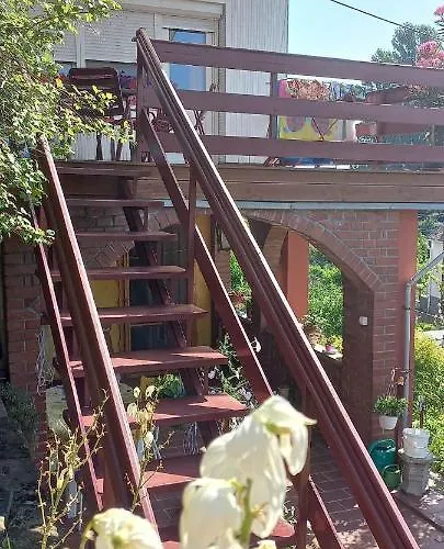 Anna バダチョニトマイ