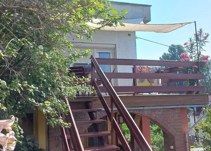 Anna バダチョニトマイ