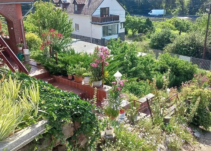 Anna * バダチョニトマイ