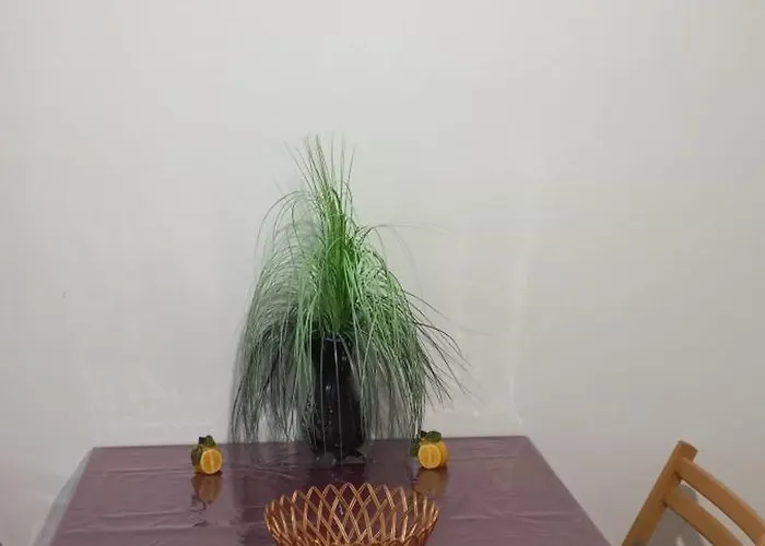 Anna * バダチョニトマイ